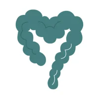 Belly Balance | IBS Program